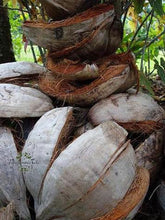 Charger l'image dans la galerie, Image 03: Tiki Monoi Oils Tiki Monoi Ao 120Ml