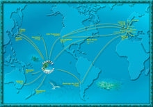 Carica l'immagine nel visualizzatore di Gallery, Image 02: Tiki Fragrances Eau De Toilette Tiare Tahiti 30Ml
