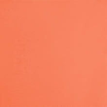 Carica l&#39;immagine nel visualizzatore di Gallery, Unten Dende frech-knusprig
