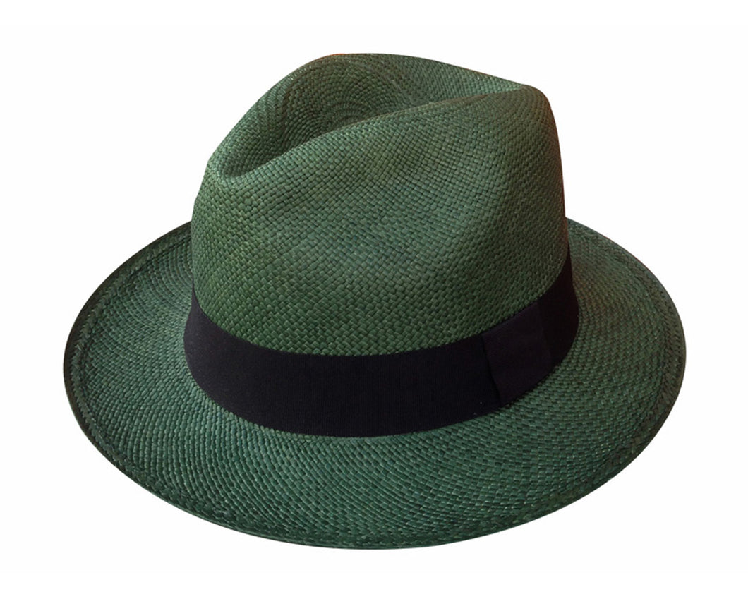 Panama-Olive