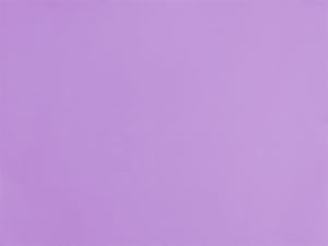 Image 06: Rio De Sol Bas Bottom Orchid Cheeky-Tie